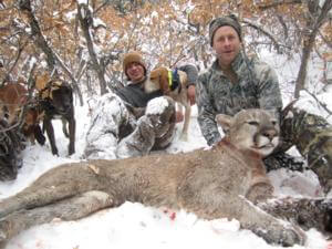 Mountain Lion Hunts